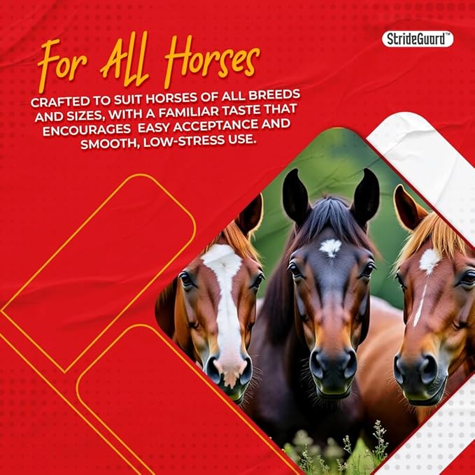 Horse Ivermectin Paste 1.87% – Apple Flavored Oral Horse Dewormer Syringe – 6.08g Tube Treats Horses Up to 1,250 lbs [Pack-9]
