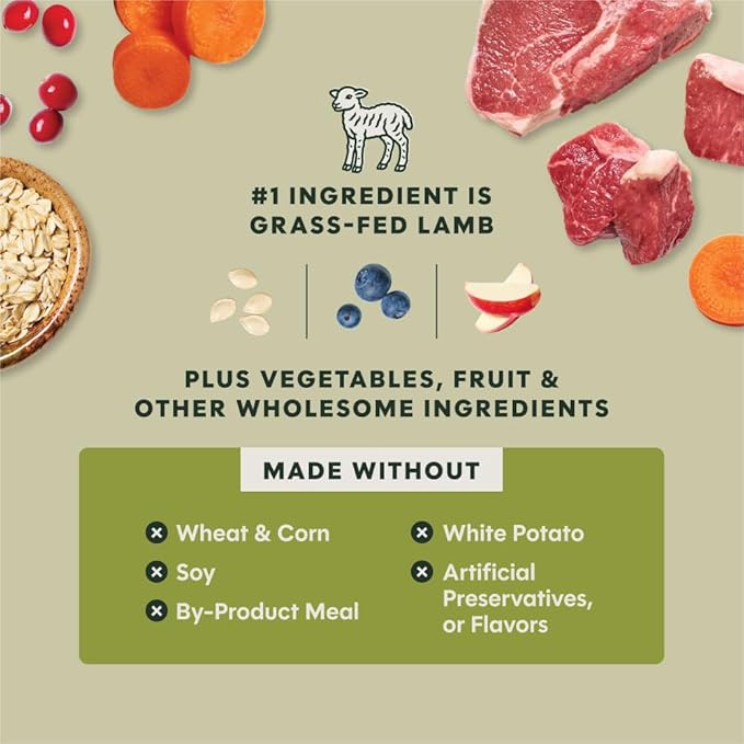 Instinct RawBoost, Natural Dry Dog Food with FreshDried Raw, Whole Grain Recipe - Real Lamb & Oatmeal, 3.5 lb. Bag