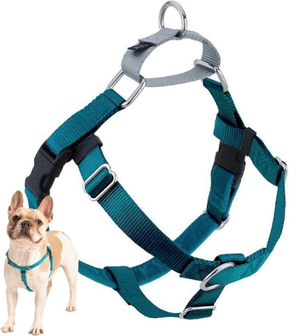2 Hounds Design Freedom No Pull Dog Harness, Adjustable Harness, Easy Walking & Comfortable Control, Fits Small, Medium & Large Dogs, Solid Colors, Made in USA, 1" XXL, Teal
