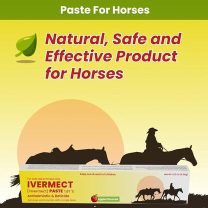 Ivermectin Horse Paste 1.87% Apple Flavored - 6.08g Paste of Horses - Treats Up to 1250 LB - Ivermectin Paste for Horse Dewormer (Pack of 2)