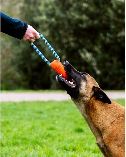 Chuckit! Ultra Bumper Tug Dog Toy,Orange,Medium