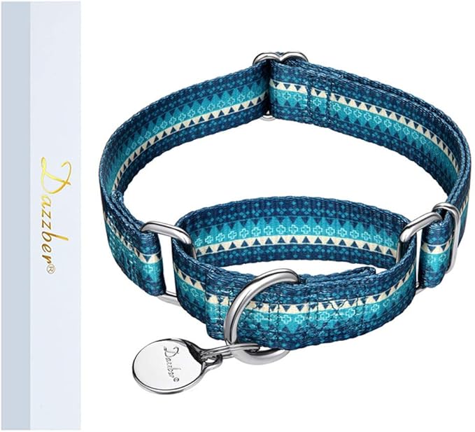 Martingale Dog Collar No Pull Pet Collar Heavy Duty Dog Martingale Collars Silky with Unique Geometric Pattern for Medium and Large Dogs (M, Turquoise)