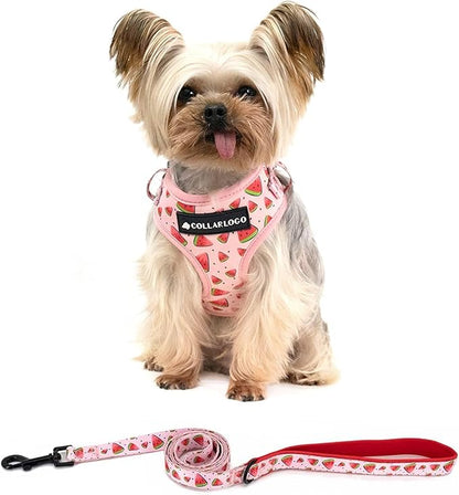 Coowone Dog Harness and Leash Set, Adjustable Puppy Harness and Soft Padded Dog Vest Clothes for Small Medium Large Dogs