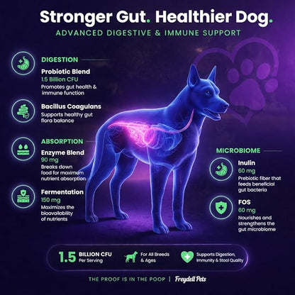 Freydell Pets Probiotics for Dogs– Digestive Enzymes, Prebiotics & Fiber Soft Chews – Gut Health, Diarrhea Relief, Yeast Balance, Immune Support, Pumpkin & Papaya – Dog Probiotic Supplement 120 Chews