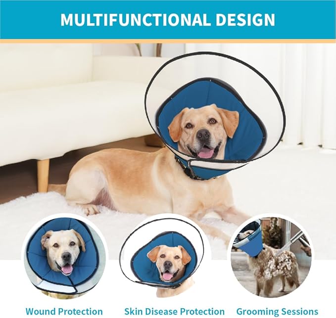 Cone Pet Cone (Blue, M(13.2"-15.5"))