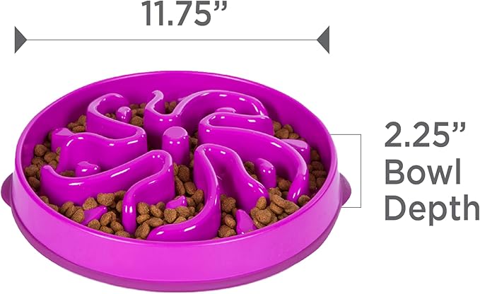 Outward Hound Fun Feeder Slo Bowl – Large 4‑Cup Capacity, Slow Feeding, Medium to Large Dogs, Non‑Slip, Purple, Flower Pattern