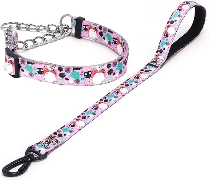 Martingale Dog Collar and Leash Set, Stainless Steel Chain, No Pull Training Collar with Flower Design, for Small, Medium, Large Dogs (NO12, S)