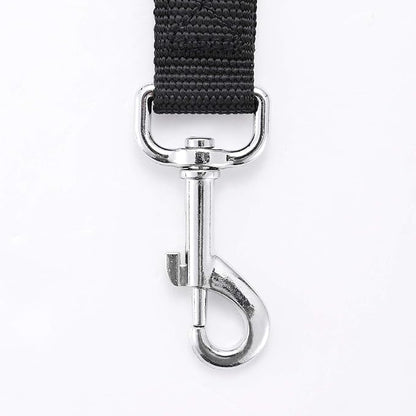 Strong Durable Nylon Dog Training Leash, 1 Inch Wide Traction Rope, 6 ft Long, for Small and Medium Dog (Black, 6 Feet)