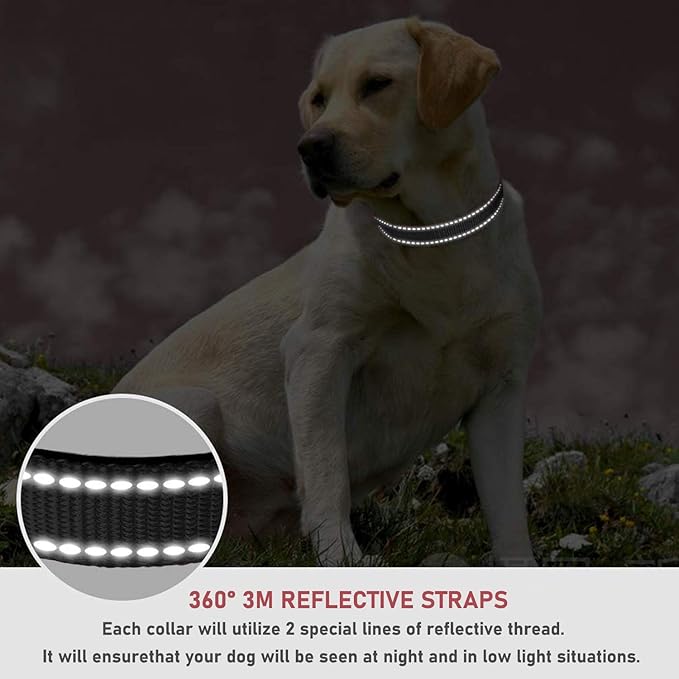 Reflective Dog Collar with Buckle Adjustable Safety Nylon Collars for Small Medium Large Dogs, Black XXS
