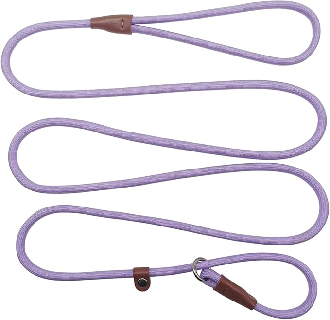BTINESFUL 7FT Slip Lead Dog Leash, 1/4" Nylon Rope Dog Training Leash for Small Medium Dogs Outdoor No-Pull Walking, Behavior Training, Purple