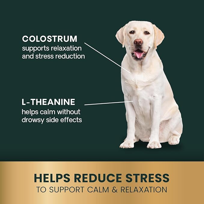 VetriScience Clinically Tested Composure Calm & Confident Chews - Supplement for Dogs with Anxiety, Stress & Fear with L-Theanine for Thunderstorms, Fireworks or Travel, Peanut Butter, 60 Count