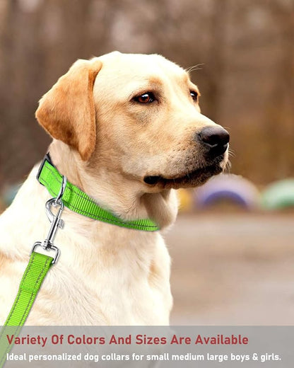 Reflective Dog Collar with Buckle Adjustable Safety Nylon Collars for Small Medium Large Dogs, Grass Green XL
