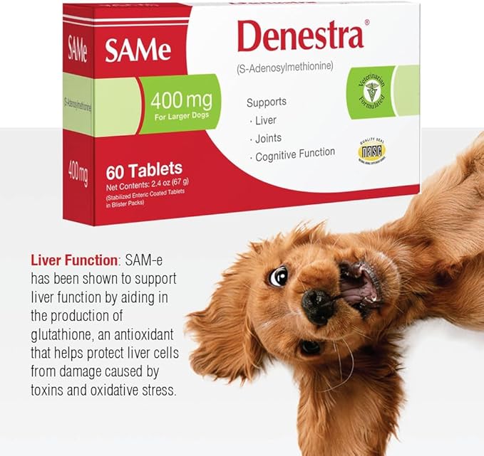 Denestra Same for Dogs – S-Adenosyl-L-Methionine (Same) – Liver, Joint & Cognitive Support for Dogs – Promotes Brain Function & Mobility – Vet-Approved Formula – 200 mg – 60 Tablets