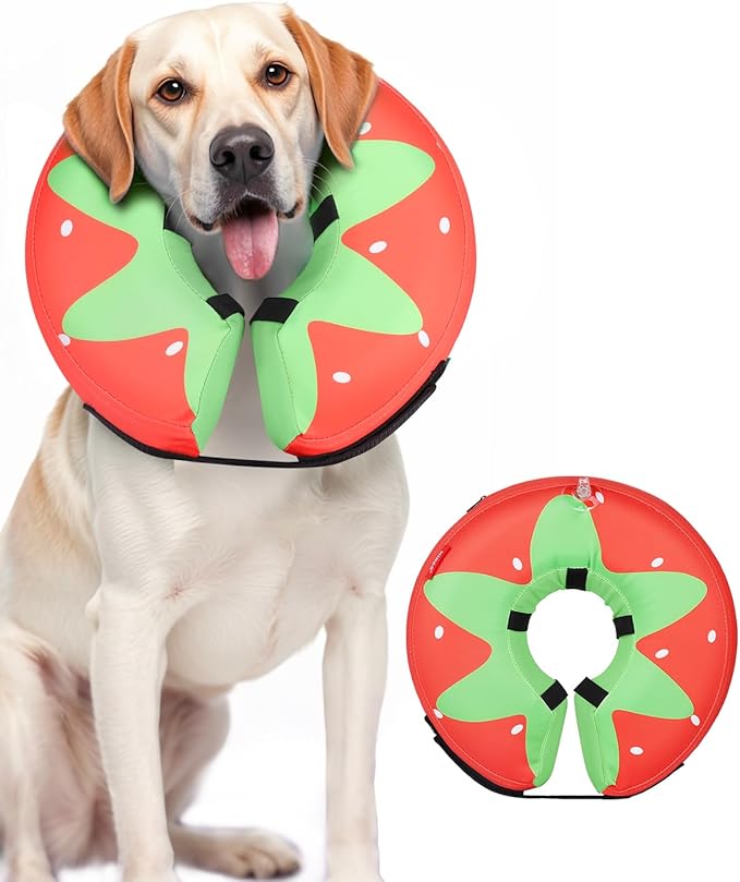MIDOG Soft Inflatable Dog Cone,Donut E-Collar Alternative for After Surgery, Prevents Licking,Allowing Normal Eating & Vision,Comfortable Recovery Collar for Small Medium Large Dogs&Cats,Strawberry-XL