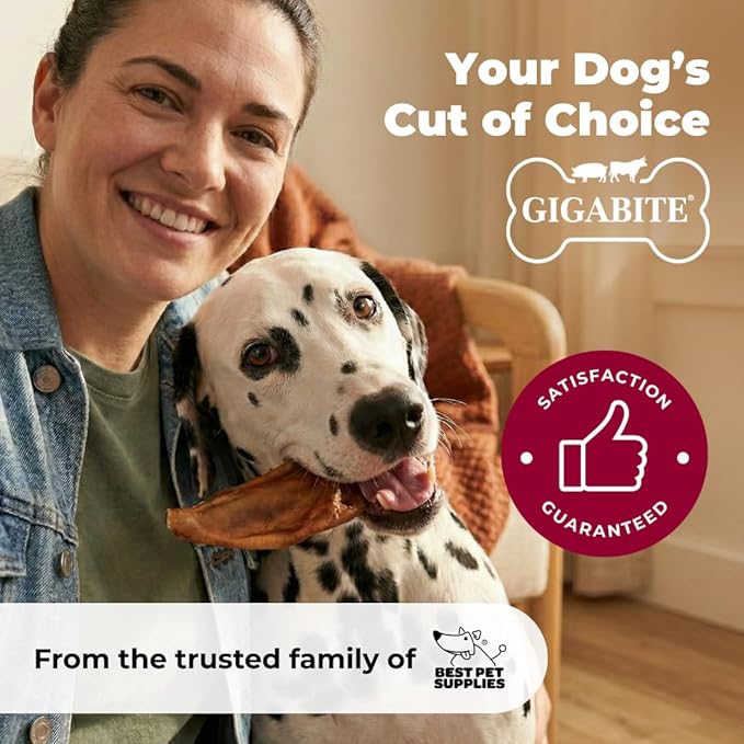 Best Pet Supplies GigaBite Whole Pig Ears for Dogs - All-Natural Slow-Roasted Chews That Clean Teeth and Satisfy Aggressive Chewers - 60 Pack for Large Dogs