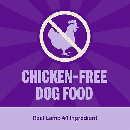 Wellness Simple Limited Ingredient Diet Adult Dry Dog Food, Wholesome Grain Kibble, Sensitive Stomach, Skin & Coat Support, Natural, Chicken Free, Lamb and Oatmeal Recipe, 40 lb Bag