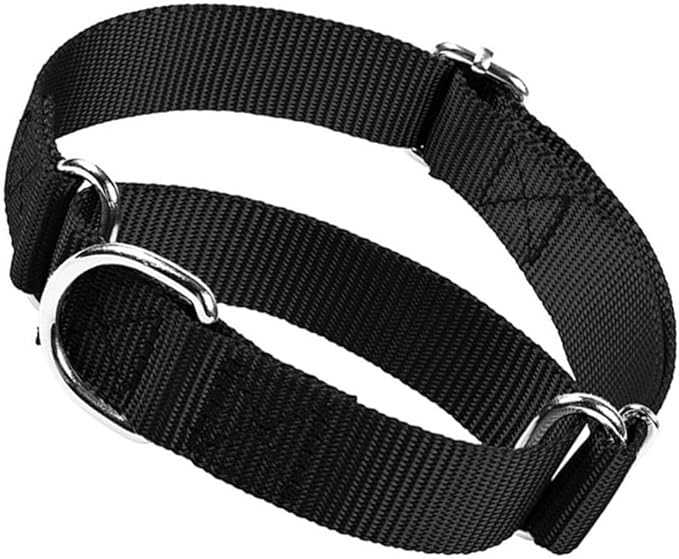Martingale Collar for Dogs, Dog Choke Collar Escape Proof No Pull Cinch Dog Training Collars Adjustable for Small Medium Large Breed Pet Dogs, Black M