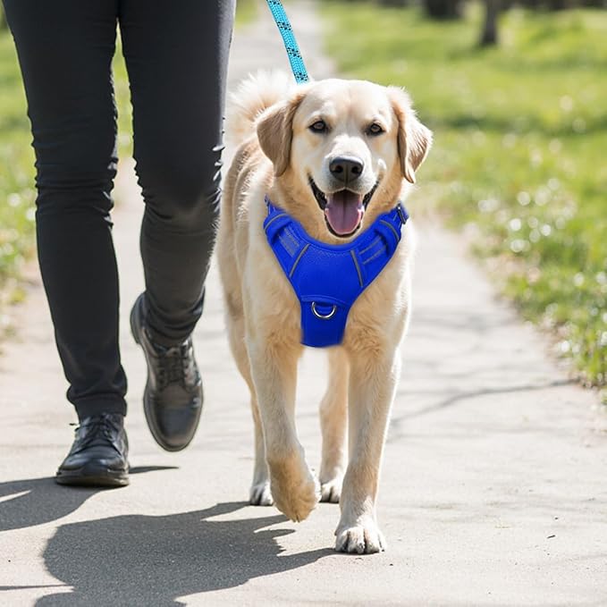 BARKBAY No Pull Dog Harness Large Reflective Dog Harness with Front Clip and Easy Control Handle for Walking Training Running with ID tag Pocket(Sapphire Blue,L)