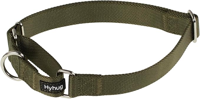 Hyhug Martingale Dog Collar Medium Green |Escape - Proof Heavy Duty Nylon Durable No Slip, Ideal for Training & Daily Walks