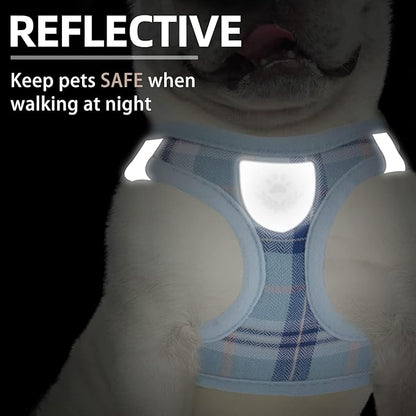 PUPTECK Adjustable Dog Harness Collar and Leash Set Step in No Pull Pet Harness for Small Medium Dogs Puppy and Cats Outdoor Walking Running, Soft Mesh Padded Reflective Vest Harnesses, Blue XL