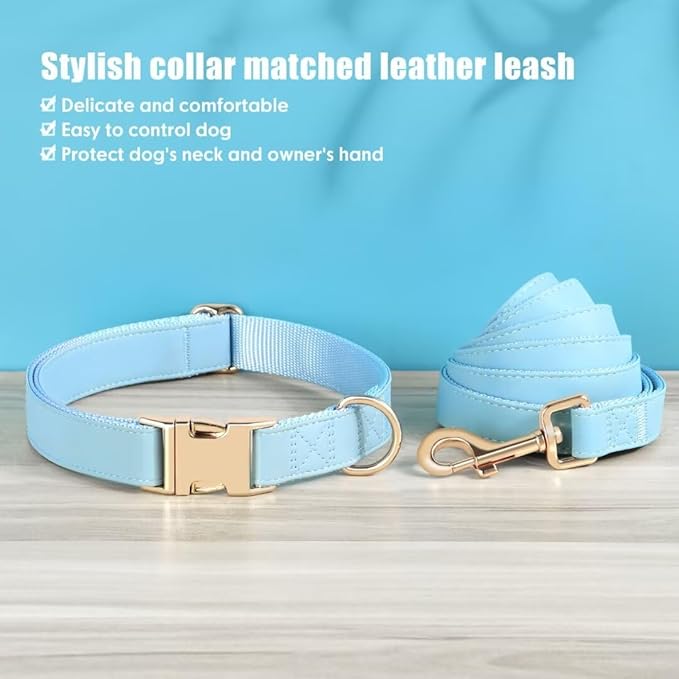 PET ARTIST Soft PU Leather Dog Collar and Leash Set, Bright & Stylish 5FT PU Leather Leash and Collar Set, Durable Pet Collars with Quick Release Metal Buckle for Large Dogs,Blue,L(16-27")