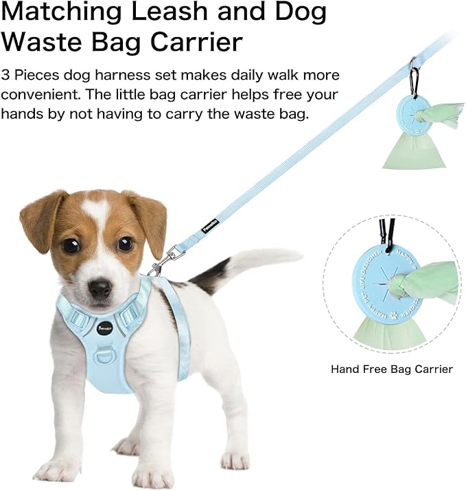 Petmolico Dog Harness for Medium Dogs No Pull, Cute Dog Harness with Two Leash Clips and Soft Handle, Reflective Easy Walk Dog Harness with Leash, Light Blue Medium