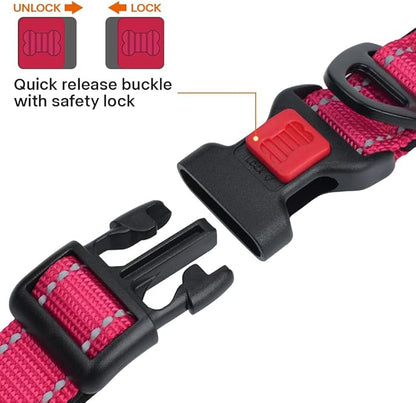 Taglory 16-24" Length, 1" Wide Dog Collar and Leash Set, 1/2" x 6 FT Highly Reflective Threads Dog Leash for Medium and Large Dogs,Hotpink