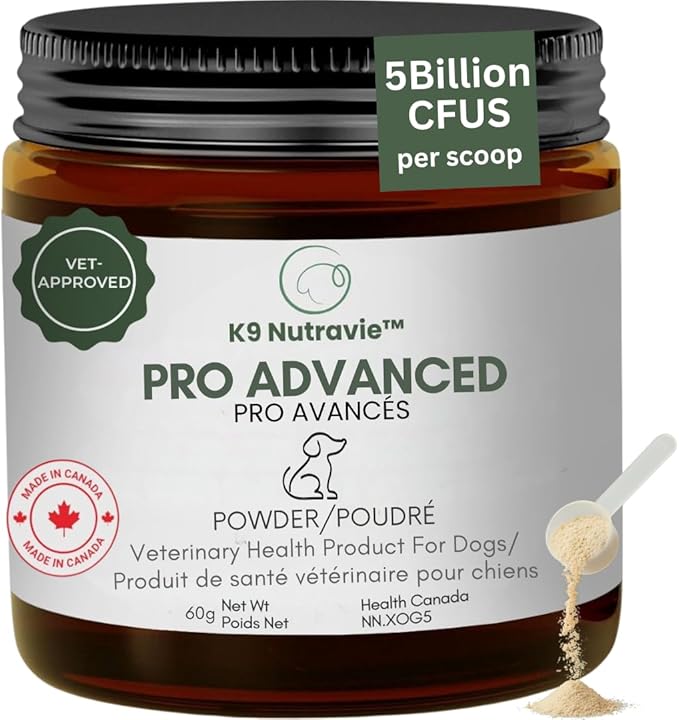 Dog Probiotic Powder for Digestive Support | 5 Billion CFU | Gut Health & Immunity Support | Mix-in Powder | 60g | Unflavoured (60g)