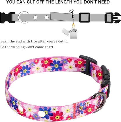 Rhea Rose 1 Inch Replacement Collar Strap Shock Collar with 2 Holes, Compatible with Nearly All Brands and Models of Underground Electric Dog Fences and Training Collars, Pink Daisy
