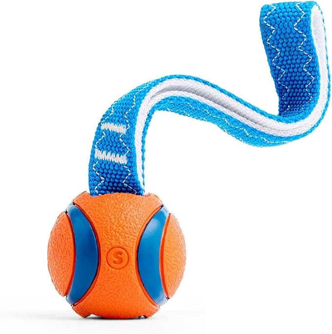 Chuckit! Ultra Tug Dog Toy, Small Fetch and Dog Ball Tug Toy for Dogs 0-20 Pounds