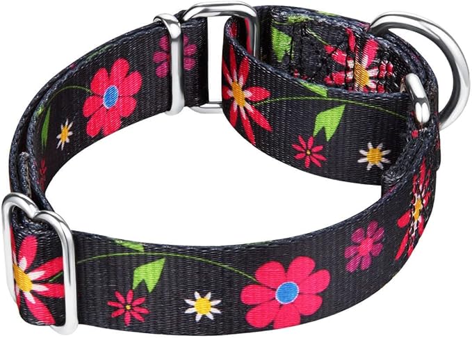 Martingale Collar Floral Print Dog Collar - No Pull Pet Collar, Heavy Duty for Medium Dogs, Adjustable Neck 14 Inch to 21 Inch, Sun Flower (Black)