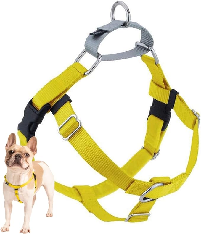 2 Hounds Design Freedom No Pull Dog Harness, Adjustable Harness, Easy Walking & Comfortable Control, Fits Small, Medium & Large Dogs, Solid Colors, Made in USA, 1" LG, Yellow