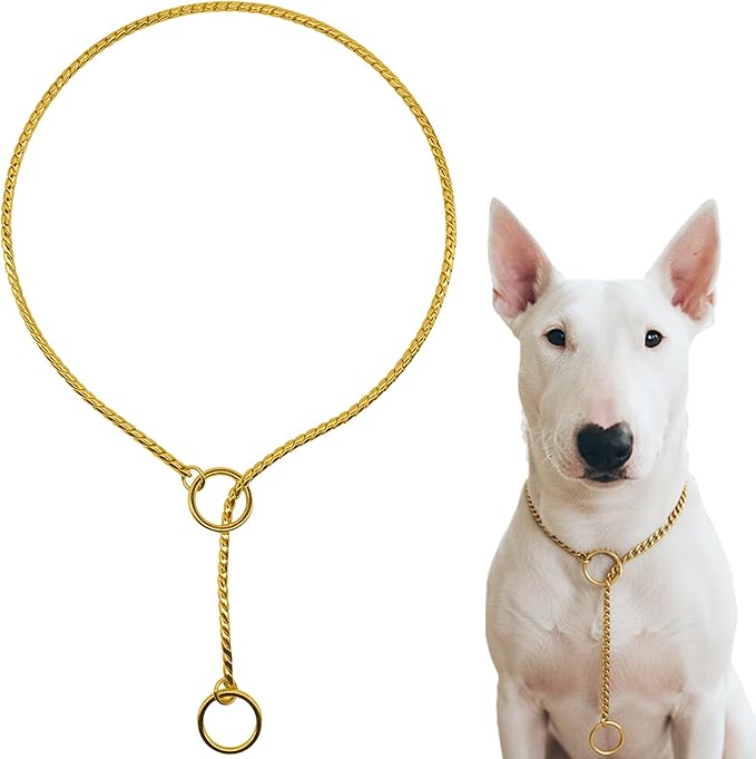 Dog P Snake Chain Chrome Plated Metal Dog Training Choke/Collar-Fully Guaranteed Against Rust Tarnish or Breakage-Recommended for Professional Training (Golden, 5mm * 22")