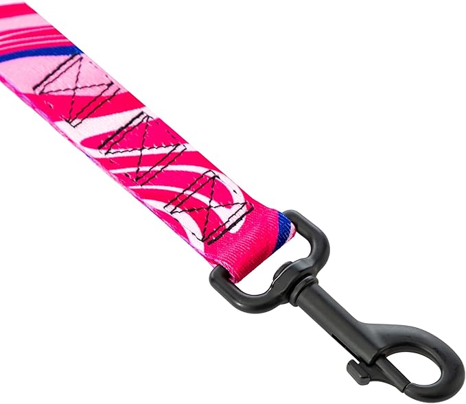 Wolfgang Heavy Duty Dog Leash, Pull-Tested for Walking & Training, MarbleSwirl Print, Dual Handle Large