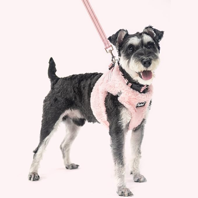 PUPTECK Adjustable Dog Harness Collar and Leash Set Step in No Pull Pet Harness for Small Medium Dogs Puppy and Cats Outdoor Walking Running, Soft Mesh Padded Reflective Vest Harnesses, Plush Pink XS