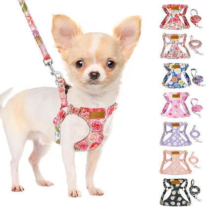 SlowTon Dog Harness Small Sized Dog - Soft XXS Dog Harness and Leash Set No Pull No Chock, Adjustable Lightweight Puppy Harness for XS Small Medium Dogs Cats (Pink Rose, XXS)