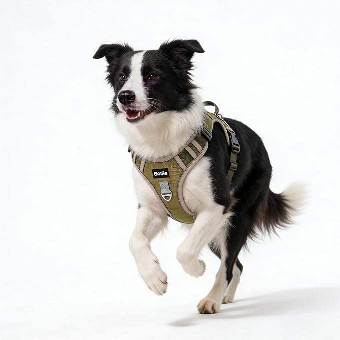 Tactical Dog Harness for Medium Dogs,No Pull Military Dog Vest with Handle,Reflective Heavy Duty Pet Harness for Walking Hiking Training M
