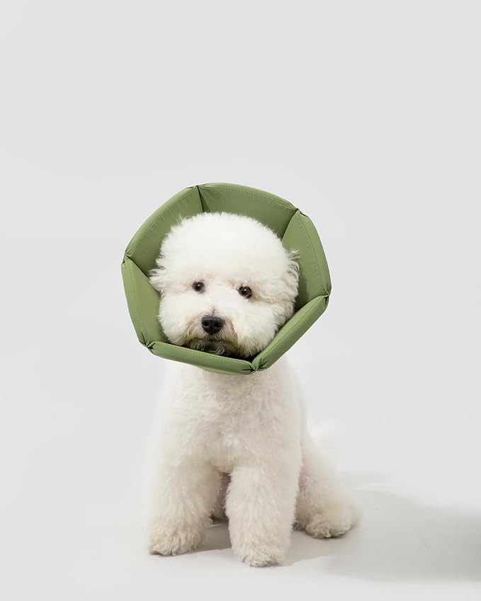 Lightweight Cat Cone Collar, Waterproof Soft Recovery E-Collar for Cats & Small Dogs, Adjustable Protective Elizabethan Collar to Prevent Licking & Biting, Easy-Clean Quick-Dry Design, Green XL Size