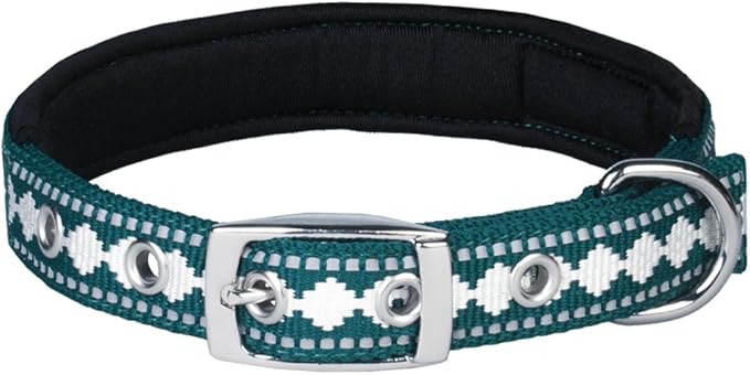 Blueberry Pet Reflective Jacquard Dog Collar with Neoprene Padding & Metal Buckle | Soft & Adjustable Safety Collar - Teal Blue