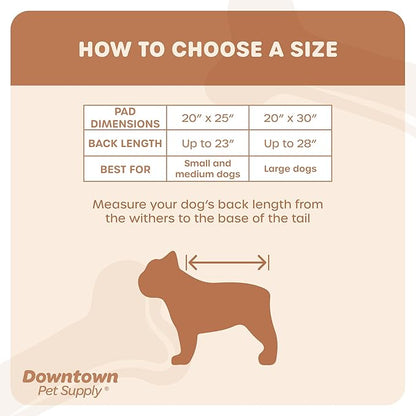 Downtown Pet Supply Dog Grass Pad with Tray, 20 x 30 w/Drawer - Outdoor and Indoor Potty System for Dogs with Replaceable Synthetic Grass Pee Turf - Portable and Waterproof Turf Dog Potty