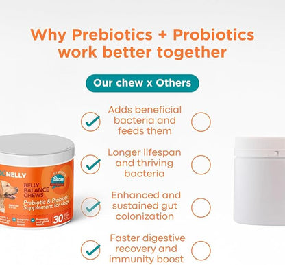 Dog Probiotic Chews – Pre & Probiotics for Dogs with Pumpkin-Digestive & Gut Health Support, Helps with Diarrhea, Gas & Constipation, Bacon Flavor, 30 Soft Chews – Ol'Nelly
