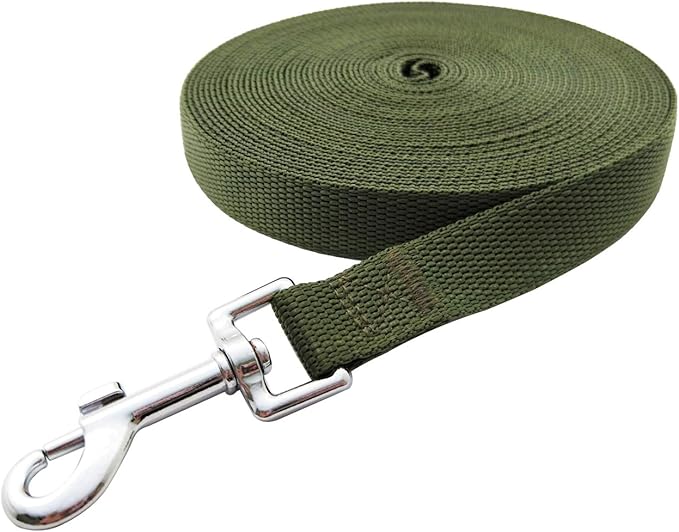 Nylon Training Dog Leash for Small Medium Large Dogs, 15ft 20ft 30ft 50ft Long Leash Dog/Puppy Lead for Obedience Recall Training, Camping (15ft, Green)