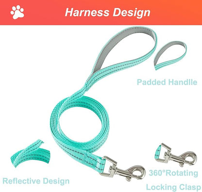 Hipubby Dog Harness Small Sized and Leash Set, No Pull Soft Mesh Puppy Vest, Reflective Breathable Lightweight Pet Harness, Harness for Small Medium Dogs and Cats - Pink Green, L