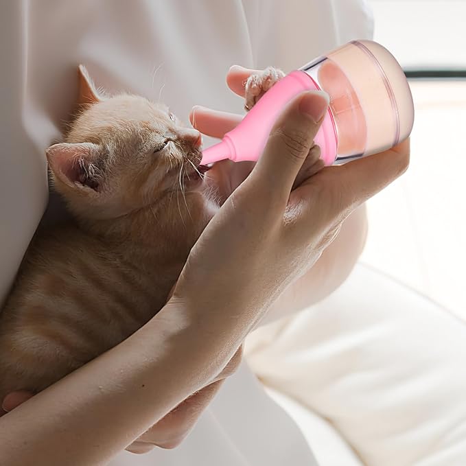 Ipetboom Kitten Bottle Pacifiers Milk Feeder Puppy Feeding Pet Feeding Pacifier Puppy Bottle Kitten Bottles for Newborn Puppy Feeding Bottles - 6 Piece Set Pet Baby Bottle