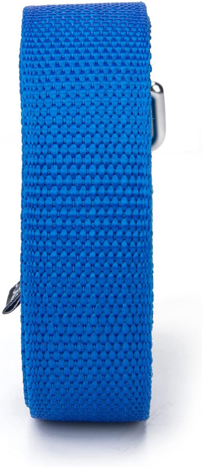 Strong Durable Nylon Dog Training Leash, 1 Inch Wide Traction Rope, 6 ft 10ft 15ft Long, for Small and Medium Dog (Blue, 6 Feet)