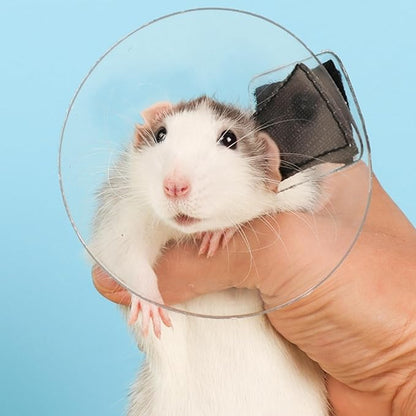 Sugar Glider Recovery Cone - Adjustable Protection Collar Soft Recovery Collar for Rat Bird Hamster Rabbit Guinea Pig After Surgery Wound Healing Elizabeth Neck E Collar for Small Animal (S (3-8cm))