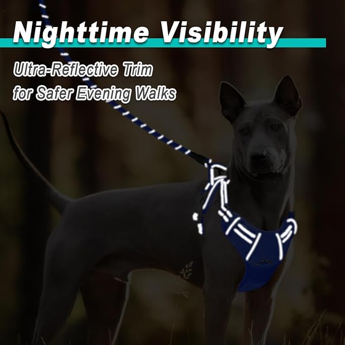 BARKBAY Dog Harness No Pull Mesh for Large Dogs - Adjustable, Reflective, Comfortable, No Choke, Heavy-Duty - Perfect for Outdoor Training, Walking, and Hiking-Strong&Durablee- XL & Sapphire Blue Mesh