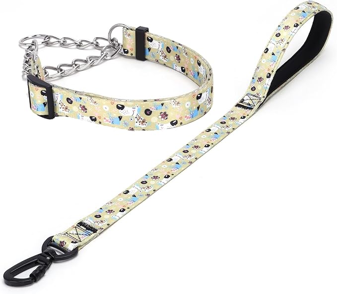 Martingale Dog Collar and Leash Set, Stainless Steel Chain, No Pull Training Collar with Flower Design, for Small, Medium, Large Dogs (NO14, S)