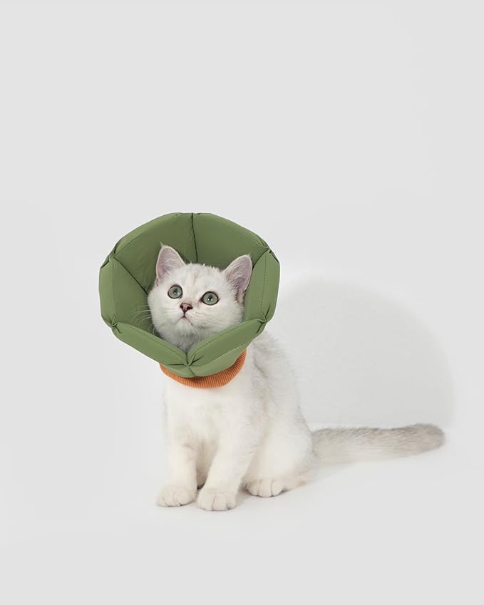 Lightweight Cat Cone Collar, Waterproof Soft Recovery E-Collar for Cats & Small Dogs, Adjustable Protective Elizabethan Collar to Prevent Licking & Biting, Easy-Clean Quick-Dry Design, Green XL Size