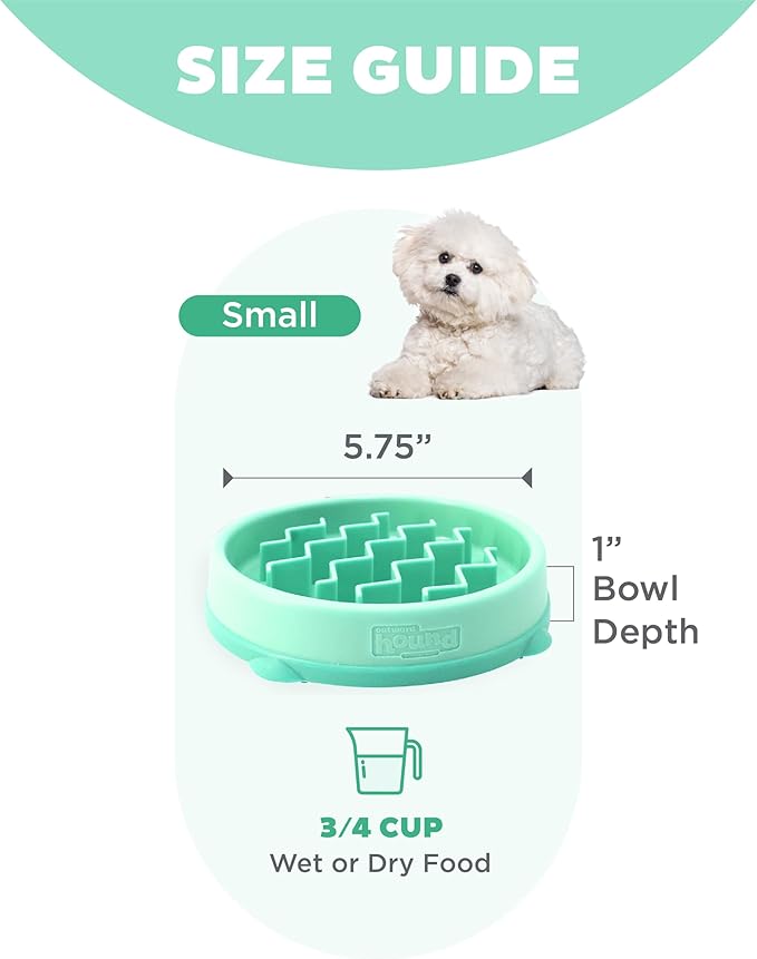 Outward Hound Fun Feeder Slo Bowl – Small 3/4-Cup Capacity, Slow Feeding, Small Dogs, Puppies & Cats, Non-Slip, Mint, Wave Pattern